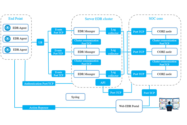 ung dung cua edr ung-dung-cua-edr